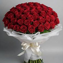 Букет 101 Красная роза Блэк Мэджик в Лохино