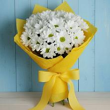 Букет цветов из:  Хризантемы в Лохино