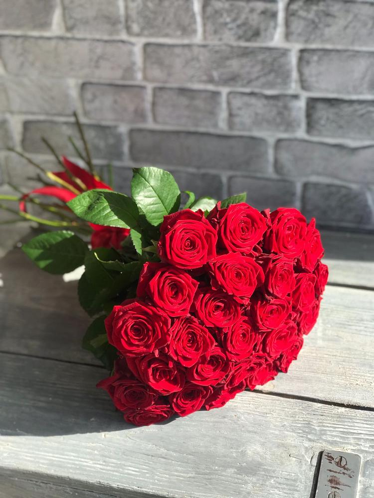 Букет Красные розы Фридом в Лохино