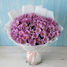 Букет цветов из:  Хризантемы в Лохино