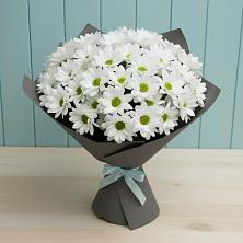 Букет цветов из:  Хризантемы в Лохино
