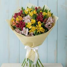 Букет цветов из:  Альстромерии в Лохино