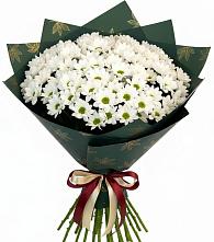 Букет цветов из:  Хризантемы в Лохино