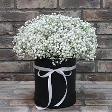 Цветочная композиция из Гипсофила в шляпной коробке #REPLACE_PRED# Лохино