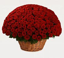 Премиум букет из: Розы в Лохино