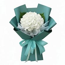 Букет цветов из:  Гортензия в Лохино